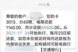 鲁甸专业催债公司的市场需求和前景分析